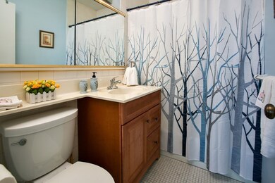 Harbor Towers unit 3H  FURN, Boston, MA 02110 - photo 5