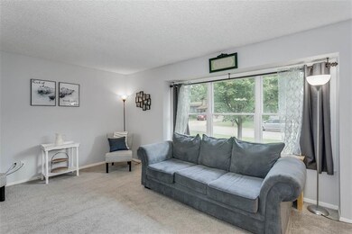 Windows Provide Lots of Natural Light
