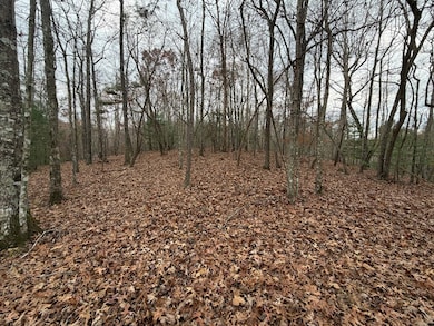 454R Joliet Dr, Ellijay, GA 30540 - photo 2