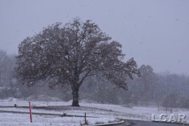 732 Red Mill Point, Tecumseh, MI 49286 - photo 6