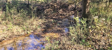 8 Farris Ln, Shelbyville, TN 37160 - photo 6