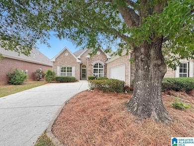 211 Belvedere Dr, Birmingham, AL 35242 - photo 2