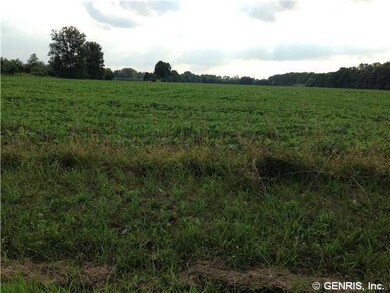 Land/Lot