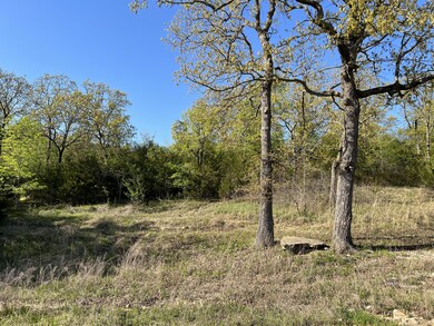 131 Oregon Ln, Ruth B Rural Township, MO 65686 - photo 6