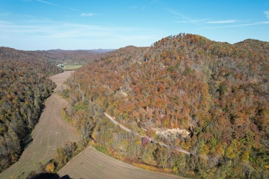 99 Beech Creek Rd unit MID112-12, Manchester, KY 40962 - photo 3