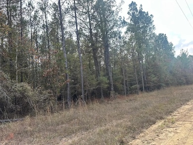 Ebenezer Tap Rd, Trout, LA 71371 - photo 3