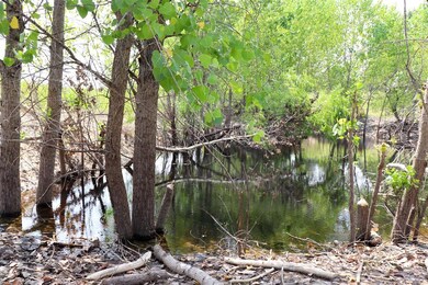 732 Silver Creek Rd, Azle, TX 76020 - photo 5