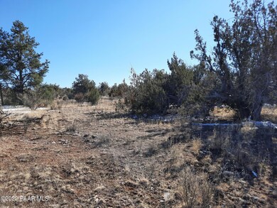 Lot 1423 Bridge Canyon Country Estates, Seligman, AZ 86337 - photo 7