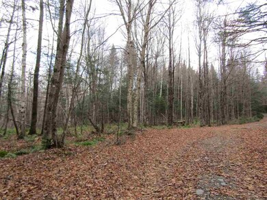 31-1 Moose Trail, Clarksville, NH 03592 - photo 2