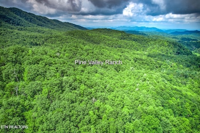 4-web-or-mls-Pine Valley Ranch 3