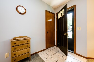 Cedar-103