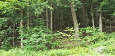 0 Swanzey Lake Rd, Swanzey, NH 03446 - photo 7