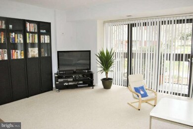 53 Skyhill Rd unit 201, Alexandria, VA 22314 - photo 6