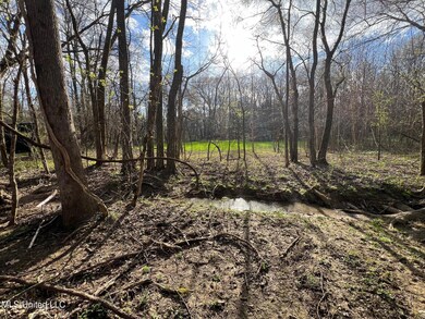 Creek