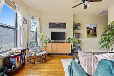 42 Rockview St unit 6, Jamaica Plain, MA 02130 - photo 4