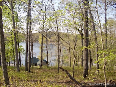 Eagle Bay Building Lot