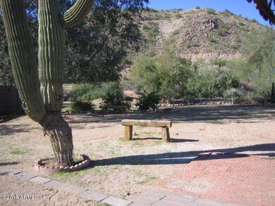 backyard3