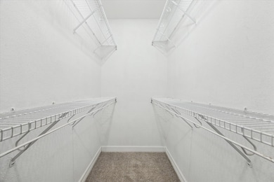 Primary Walk-in Closet + a Coat Closet