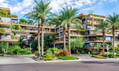 Optima Camelview