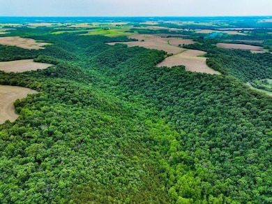 Rooster Valley Rd, Spring Grove, MN 55974 - photo 7