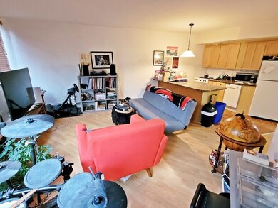 512 Green St unit 1A, Cambridge, MA 02139 - photo 2