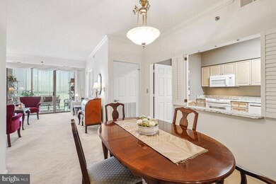 3210 N Leisure World Blvd unit 618, Silver Spring, MD 20906 - photo 5