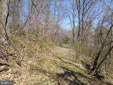 0 Little Long Rd unit 1000406659, Bentonville, VA 22610 - photo 5