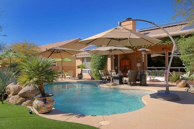 Backyard 2