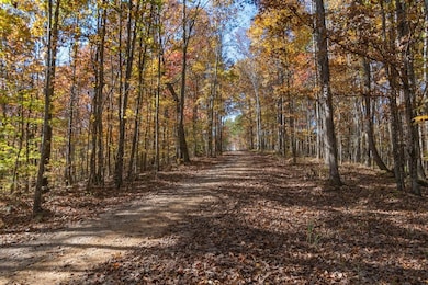 202 Ravenridge Rd, Summertown, TN 38483 - photo 5