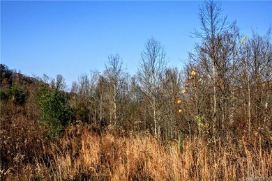 Seller used to farm tobacco here many years ago. F