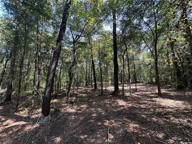 Danner Dr, Wilmer, AL 36587 - photo 4