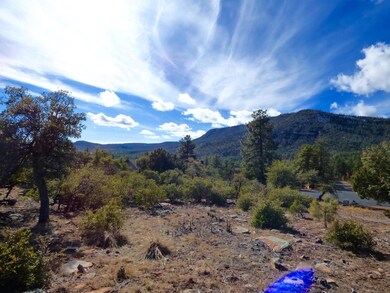 153 Windsong Ln, Pine, AZ 85544 - photo 4