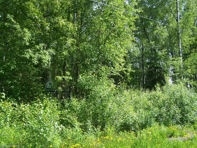 View from Street - Hm to right