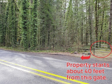 0 E Barlow Trail Rd unit 369670884, Brightwood, OR 97011 - photo 5