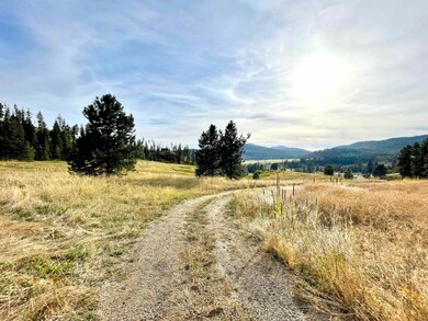 1617 S D 395 Hwy, Chewelah, WA 99109 - photo 4