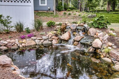 Pond