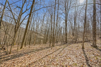 L9.113 Lutheranville Rd, Summit, NY 12175 - photo 6