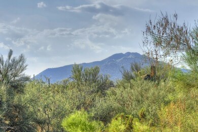 Mountain VIEWS