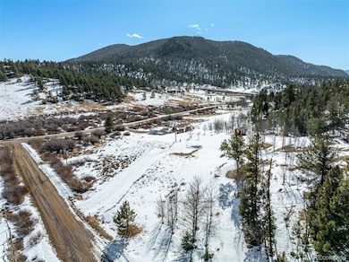 60 Cherokee Path unit 90, Lake George, CO 80827 - photo 6