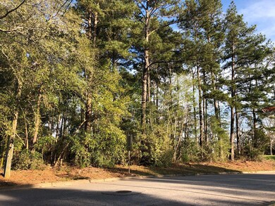 4460 Flowers Chapel Rd, Dothan, AL 36305 - photo 7