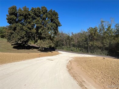 31 (Lot 3) Autumn Ridge Dr, Elsberry, MO 63343 - photo 3