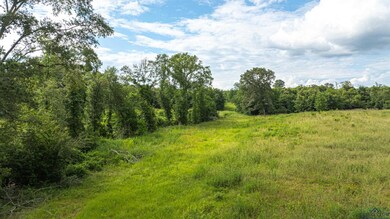 View of local wilderness