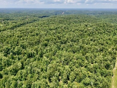 0 Bear Creek Rd unit 24203453, Waverly, TN 37185 - photo 6