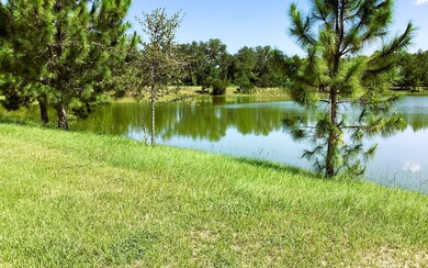 616 SW Rosemary Dr, Lake City, FL 32024 - photo 7