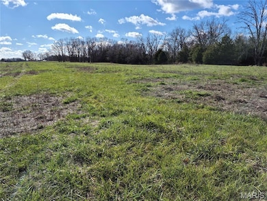 0 Logan School Rd (28 2+ - Acres), New Florence, MO 63363 - photo 4