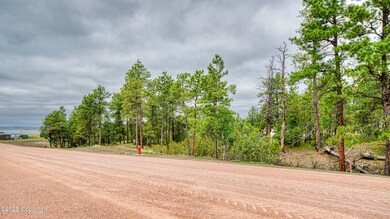 C Bar Estates July 2025 - Lot 12-2