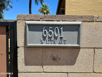 36-web-or-mls-Finished