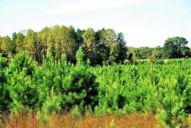 6801 (not Assigned) Grand Brooks Rd, Livingston, VA 22551 - photo 7