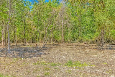 TBD Tranquil Rd unit Lot 3, Conway, SC 29527 - photo 2