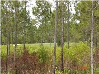 20150814135054129351000000-o